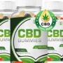 Medallion Greens CBD Gummies USA