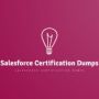 Salesforce Certification Dumps