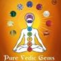 Pure Vedic Gems