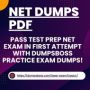 NET Dumps PDF