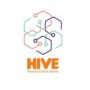 HIVE Plywood