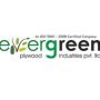 evergreenply