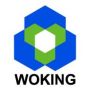 Woking Environmental