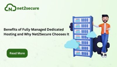 Fully Managed Dedicated Hosting and Why Net2Secure Chooses It