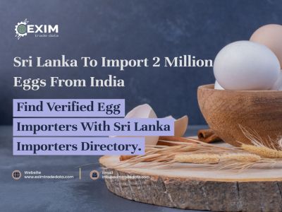 Sri Lanka to Import 2 Millions Eggs from India.
Find verified Egg importers with Sri Lanka Importers Diretory.
Visit here: https://eximtradedata.com/sri-lanka-import-export-data
#srilankaimportexportdata
#srilankaimportdata
#srilankaexportdata
#srilankacustomdata
#globalimportexportdataprovider
#importexportdata